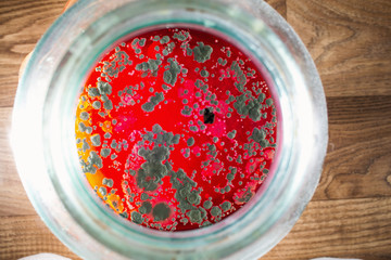 Mold on red juice in a jar