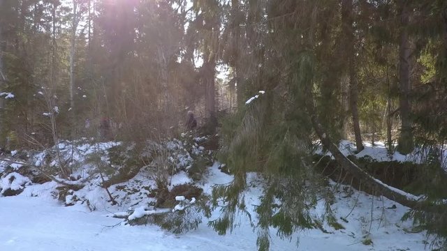 Winter walk along river drone