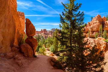 Bryce Canyon National Park - Hiking on the Queens Garden Trail and Najavo Loop into the canyon, Utah, USA.