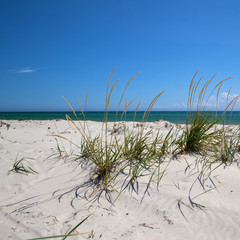 Fototapeta na wymiar Blue clear sky, sea and sand on deserted beach