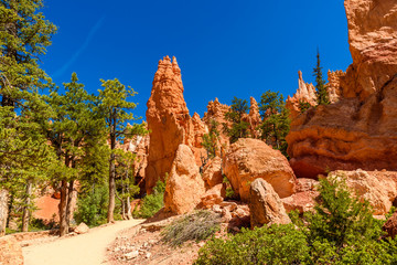 Bryce Canyon National Park - Hiking on the Queens Garden Trail and Najavo Loop into the canyon,...