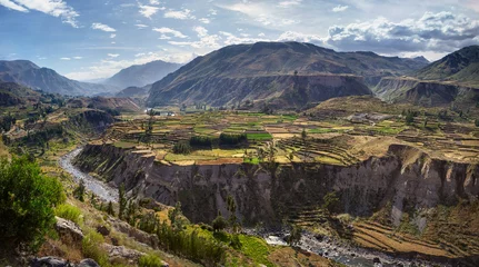 Fotobehang Uitzicht op terrasvormige velden en de Colca-rivier in Colca Canyon in het zuiden van Peru, in het departement Arequipa © petr