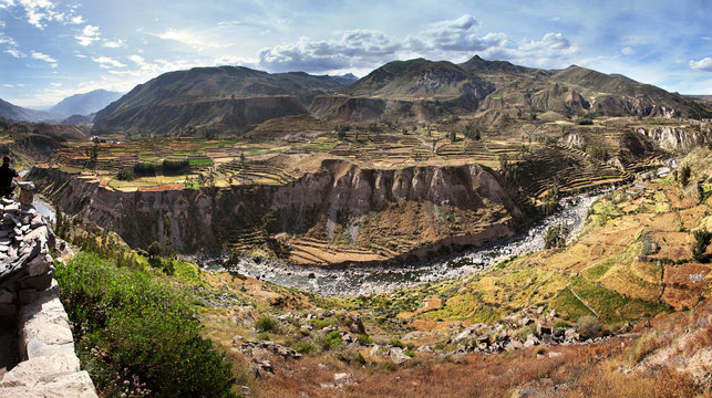View of terraced fields and Colca river in Colca Canyon in southern Peru, in Arequipa departement
