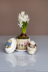 Wiosna, Hiacynt i wielkanocne jajka © Bea