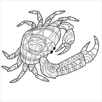 Crab, illustration for coloring, coloring page