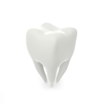 Model of a molar tooth on a white isolated background