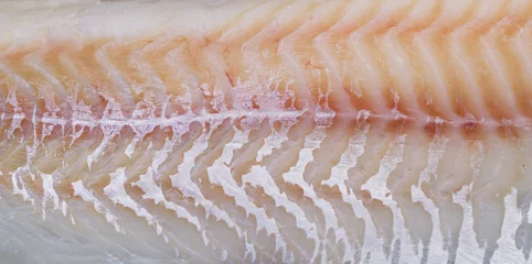 Plaid mouton avec photo Poisson Texture de fond des filets de poisson macro close-up