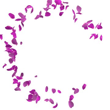 Purple rose petals fly in a circle. The center free space for Your photos or text