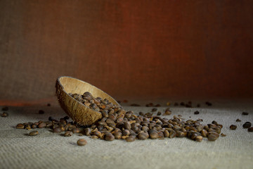 Pine nuts on burlap