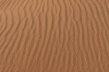 Fototapeta na wymiar Yellow sand dunes and blue sky in the desert. Negev in Israel. The dunes look like giant waves crossing the sky. 