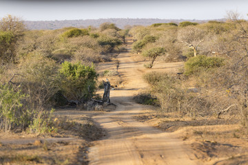 Fototapeta na wymiar bumpy safari road