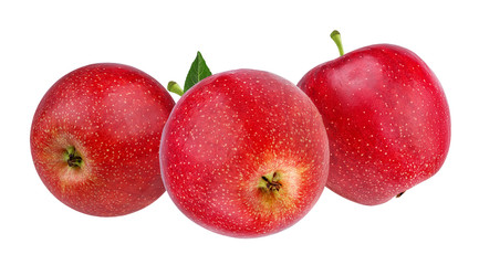 Fresh apple isolated on white background with clipping path