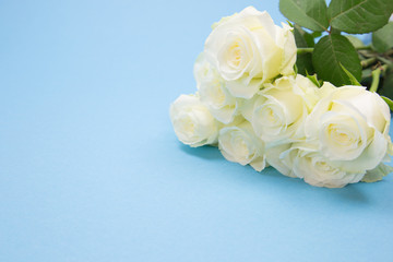 Obraz na płótnie Canvas Bunch of beautiful white roses on blue background.