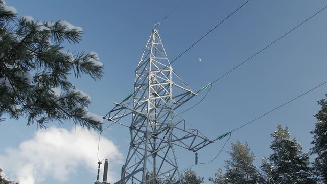 Pine branches covered with a thin layer of snow, electric pole and wires against the blue sky.