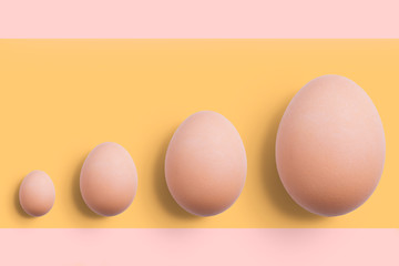Eggs evolution isolated on background