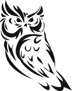 illustrator  owl