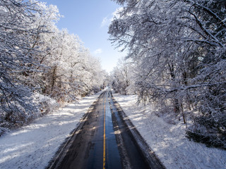 A Backroad Cutting Through A Snow Covered Forest 01