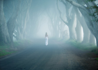 Dark Hedges, Ireland, fogy tree lined road, woman walk away in white long dress