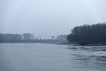 B&auml;ume entlang des Rheins