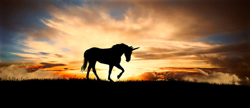 Fototapeta Unicorn silhouette at sunset