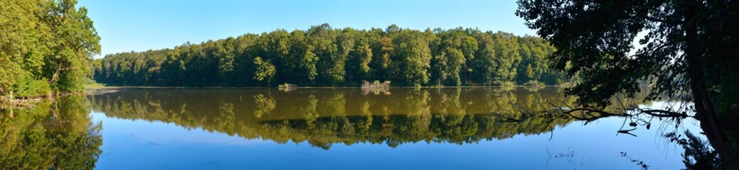 Fototapeta na wymiar Panorama of a forest lake