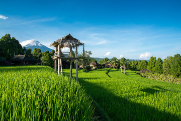 Rizi&egrave;re de Munduk - Bali