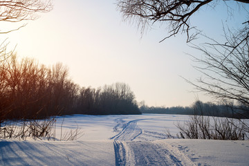 Snowmobile trail in the snow on a forest glade