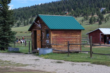 Live on a working ranch