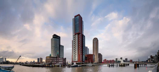 Papier Peint photo autocollant Pont Érasme City Landscape, panorama - view of skyscrapers and harbor in the district Feijenoord, city of Rotterdam, The Netherlands.