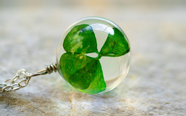 Clover leaf on stone