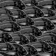 Pattern of marine fish Dorado. Painted flock of fish in black and white. Sketch, vector illustration
