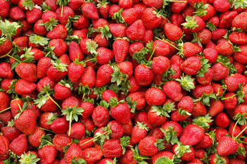Spring summer detox fruit vegetable diet. Close up of harvest pile. Supermarket stand of clean and shiny vegetables / fruits assortment. Healthy eating concept.
