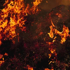 Foto auf Acrylglas Flamme Feuer Hintergrund