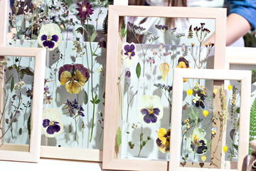 Dried flowers and plants in a frame.