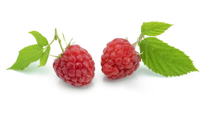 Raspberries on white background