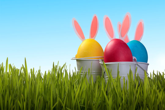 Colorful easter eggs with bunny ears in green grass on background. Holidays background.Easter greeting cards