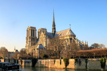 Fototapeta na wymiar Notre Dame de Paris