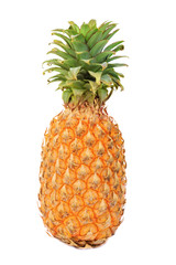 one big whole ripe pineapple on white background