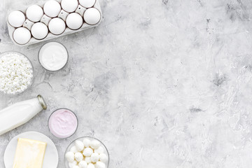 Natural farm products. Milk, cottage, eggs, cheese, yougurt on grey background top view copy space. Monochrome