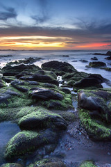 Seascape with rocks covered by green moss during sunset.