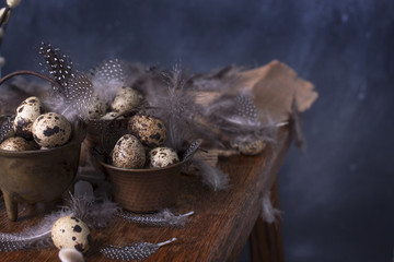 Quail eggs and feathers. Branches of willows. Spring decor and Easter. Dark background and space for text.