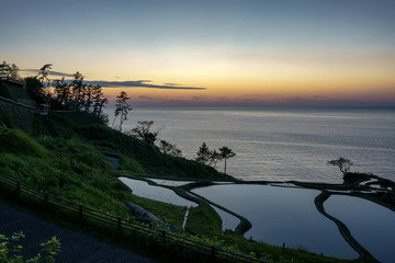 白米千枚田と夕暮れ