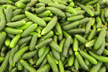 Spring summer detox fruit vegetable diet. Close up of harvest pile. Supermarket stand of clean and shiny vegetables / fruits assortment. Healthy eating concept.
