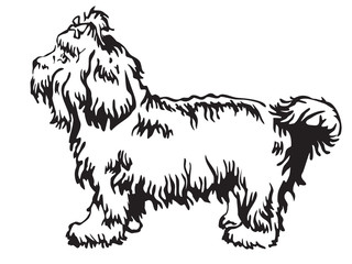 Decorative standing portrait of Bolonka vector illustration