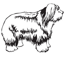 Obraz premium Decorative standing portrait of Old English Sheepdog vector illustration