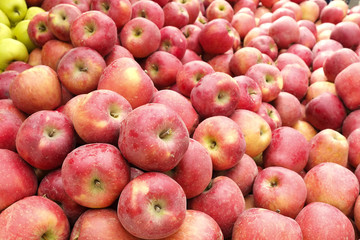 Spring summer detox fruit vegetable diet. Close up of harvest pile. Supermarket stand of clean and shiny vegetables / fruits assortment. Healthy eating concept.