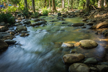 Streams in the forest