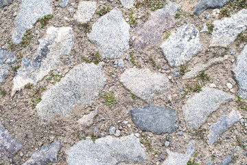 Seamless texture of a paving stone track on a green grass