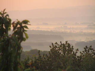 brume matinale