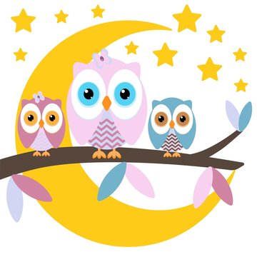owls on a branch on a night moon sky background